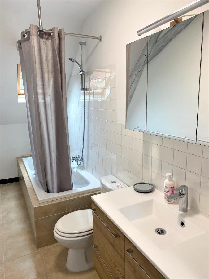 Le Chant Des Oiseaux, 3km Du Zoo De Beauval, Parking Gratuit ,wifi Et Netflix Gratuits Ferienhaus Saint-Aignan (Loir-et-Cher)